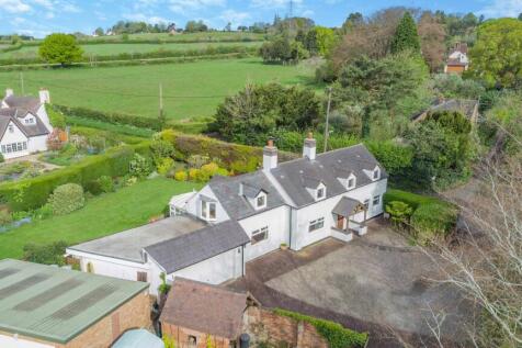 PLOT PHOTO