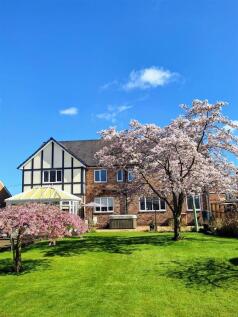 WhatsApp Image 2025-05-28 at 11.26.10_6343be07.jpg