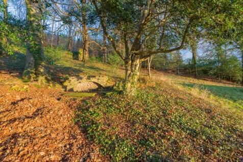 Woodland area