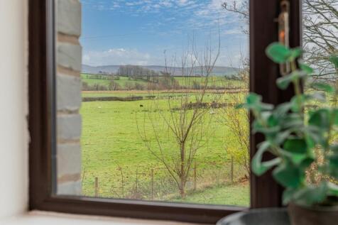 Kitchen View