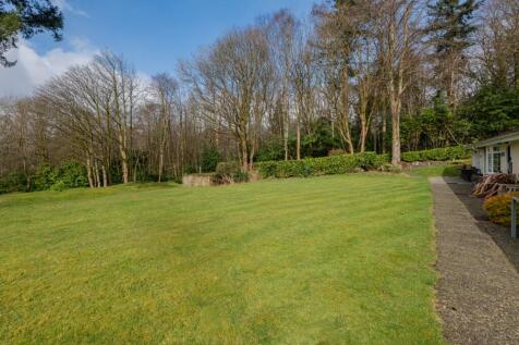 Grounds