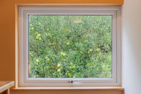 View out to the garden