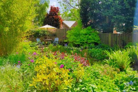 New garden.jpg
