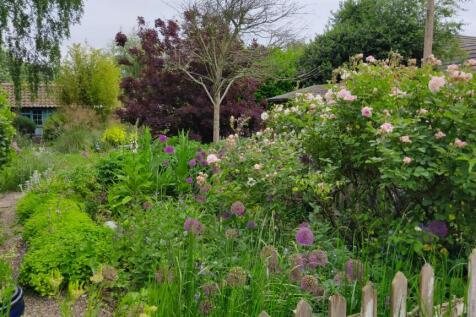 new garden 4.jpg
