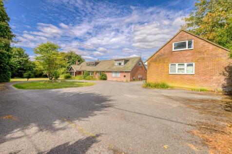 Beville External Shoot (76 of 87).jpg