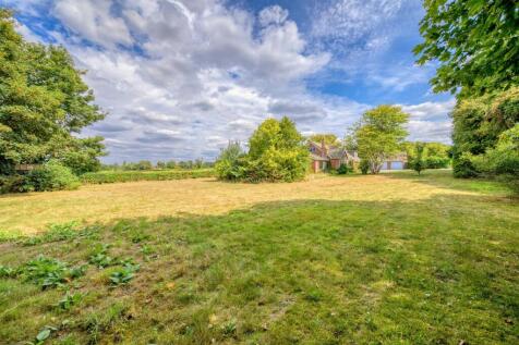 Beville External Shoot (81 of 87).jpg