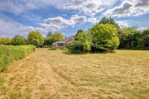 Beville External Shoot (85 of 87).jpg