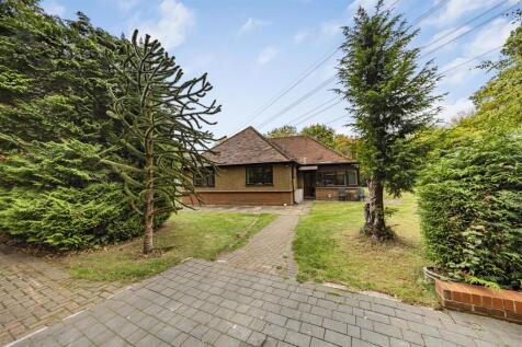 Photo Oct 10 2025, 2 16 16 PM.jpg