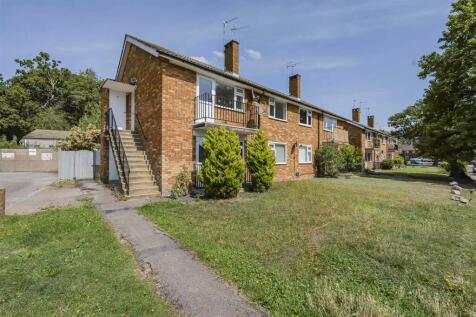 Photo Aug 06 2025, 12 47 00 PM.jpg