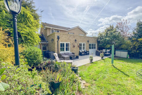 rear of house 1