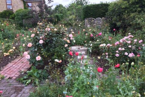 Rose Garden