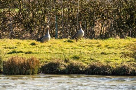 Canal Farm