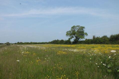 Wild Flower Meadow