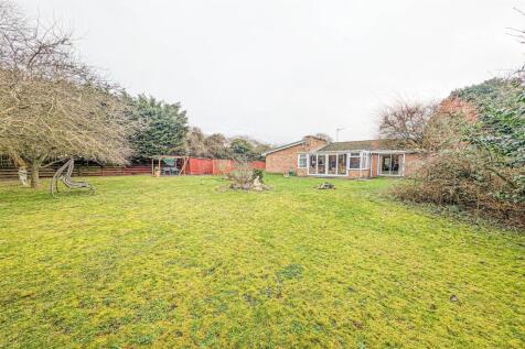 PXL_20260119_112124386.RAW-01 gdn.jpg