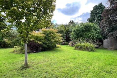 PHOTO-2025-07-29-10-22-23 2.jpeg