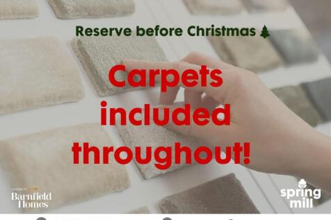 Carpet Offer