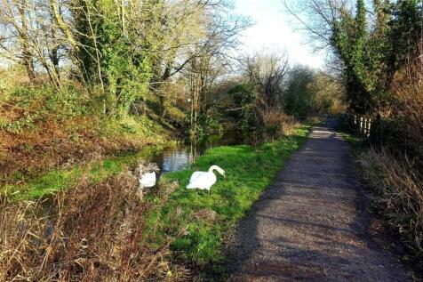 Riverside Walks
