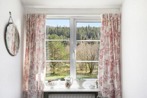 View from window
