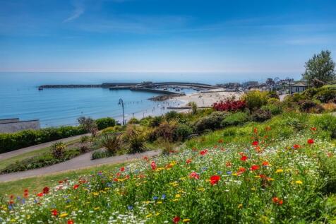 DSC_0366 (Orton Effect).jpg