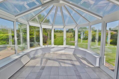 DSC_0987 (1024x66...