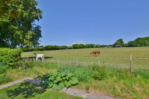 DSC_1007 (1024x68...