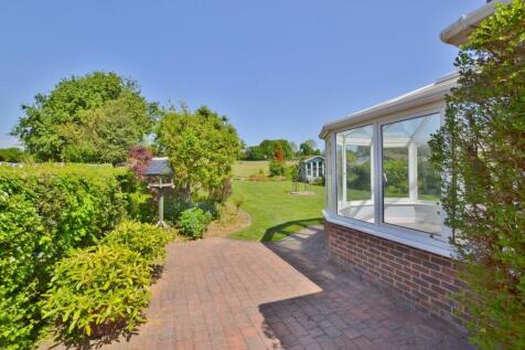 DSC_1012 (1024x67...