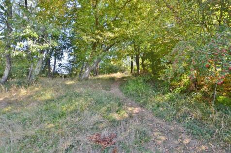 DSC_0936 (1280x85...