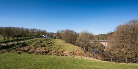 Panoramic To Cottage