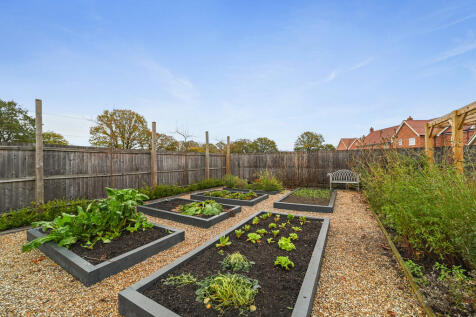 Tye Green garden ...