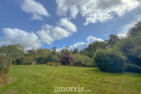 E5AA7F67-8F4A-4ED5-B8F2-A9193D7C5F68 2.JPEG