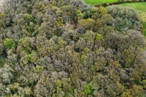 dji_fly_20230502_123940_634_1683124612900_photo_op