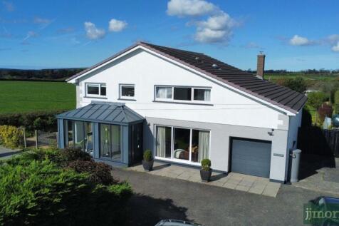 Untitled design (3).jpg