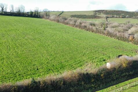 dji_fly_20241202_120218_22_1733141030858_photo_opt