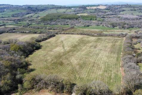 dji_fly_20250411_135328_167_1744376137754_photo_op