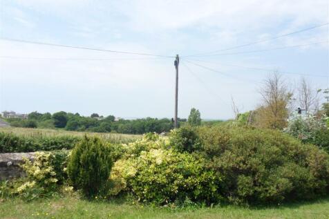 SDC13777.JPG