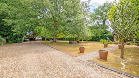 Driveway &amp; Front Orchard to Gate