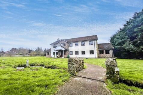 Property Image 33