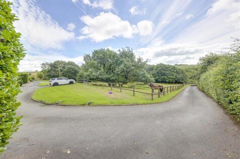 Driveway &amp; Front Paddock