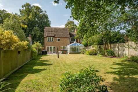 Property Image 13
