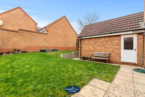 Back Garden