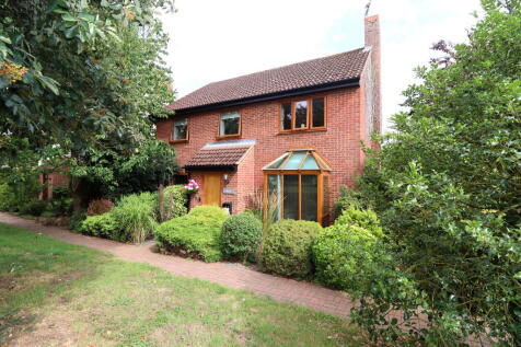 Front Shot 25-07-...