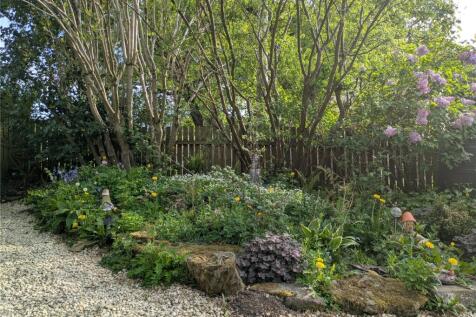 Wildflower Meadow
