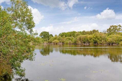 Rear External-22.jpg