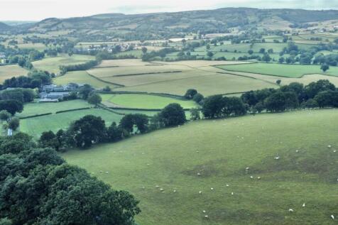 dji_fly_20230711_161022_577_1689088254048_photo_op