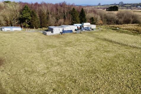 dji_fly_20250213_122724_165_1739454098061_photo_op