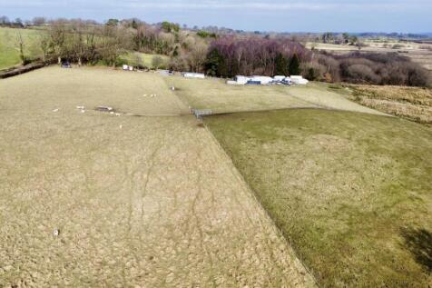 dji_fly_20250213_122814_168_1739454088291_photo_op