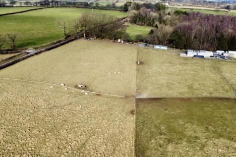 dji_fly_20250213_122900_172_1739453296231_photo_op