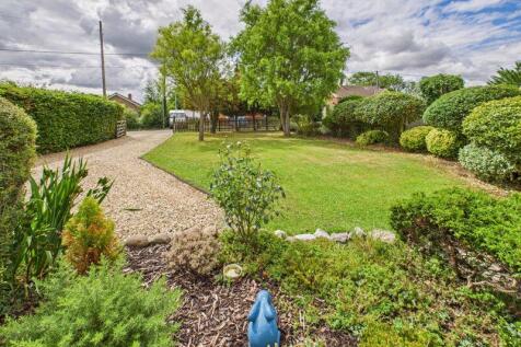 Front Garden/Driveway