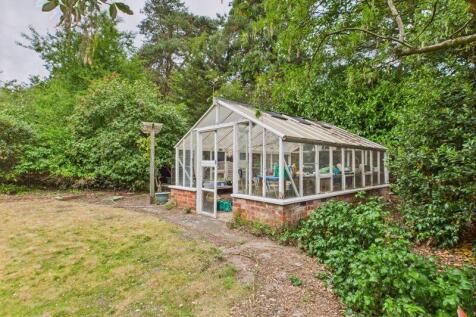Rear Garden/Greenhouse