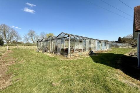 Greenhouses.jpg